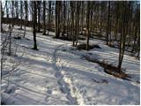 Dolina Zaplaninščice - Koča na Čemšeniški planini